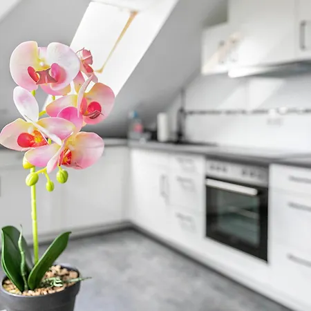 Familie Bosch Apartament Leck